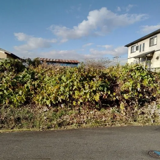 Akiya in Pueblo de Hino