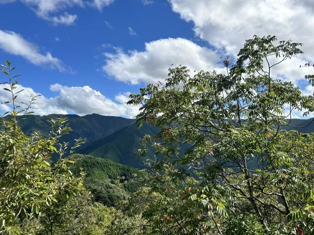 1LDK Propiedad Aridagawa-cho, Arita-gun Prefectura de Wakayama (9)
