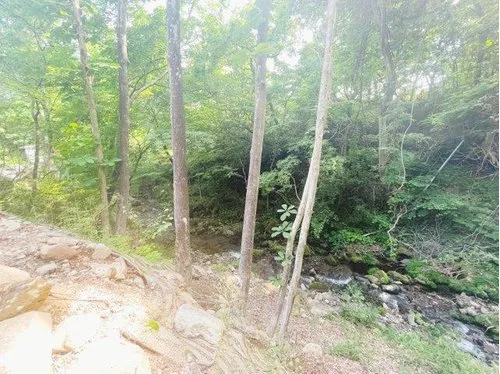5LDK+S Nasu Town Tochigi Prefecture (14)