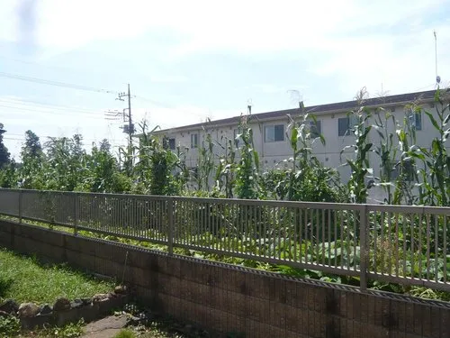7DK Property Tochigi City Tochigi Prefecture (14)