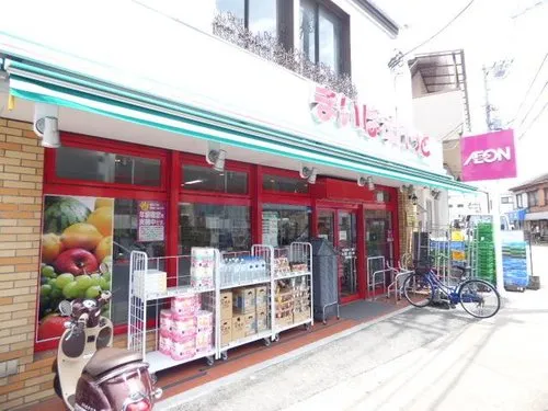 5LDK+S Property Adachi-ku Tokyo (23)