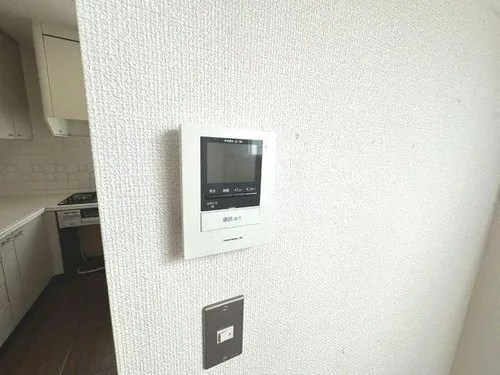 5LDK+S Property Adachi-ku Tokyo (28)