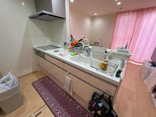 4LLDDKK Property Sagamihara City Kanagawa Prefecture (14)