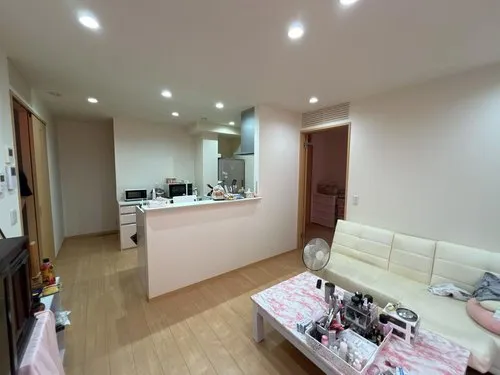4LLDDKK Property Sagamihara City Kanagawa Prefecture (7)