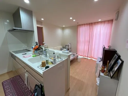 4LLDDKK Property Sagamihara City Kanagawa Prefecture (8)