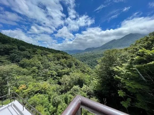 8LDK+S Property Hakone Town Kanagawa Prefecture (2)