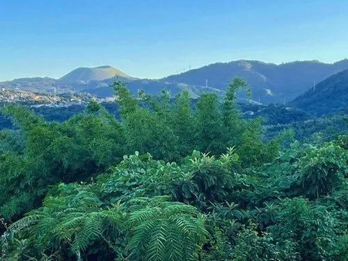 7DKK Property Ito City Shizuoka Prefecture (15)