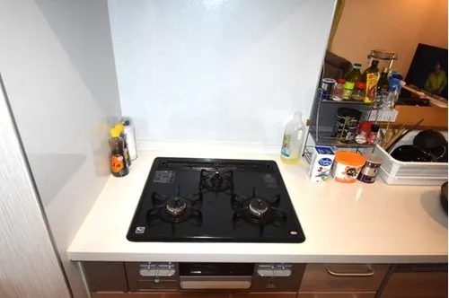 4LDK Property Toyota City Aichi Prefecture (14)