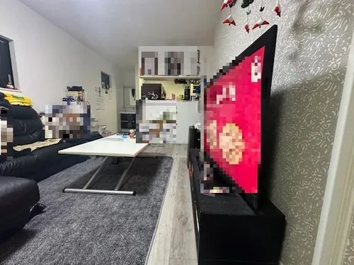 Osaka Prefecture Osaka City 3-Bedroom Property (4)