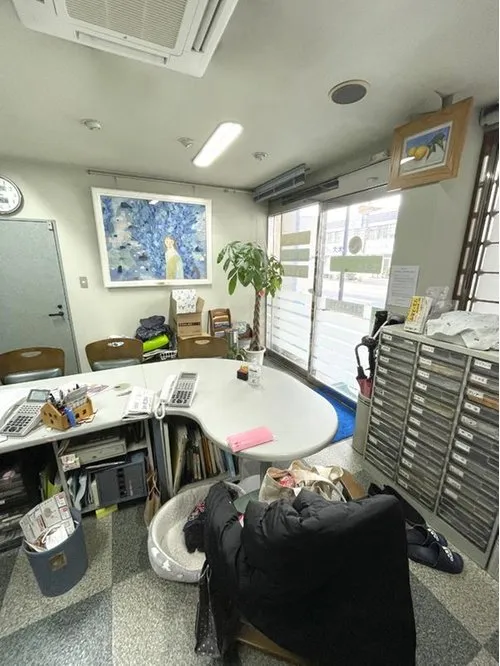 6LLDDKK Property Hiroshima City Hiroshima Prefecture (3)