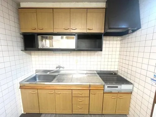 4LDK Property Kochi City Kochi Prefecture (11)