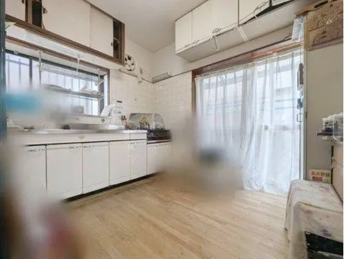 4LDK Property Kochi City Kochi Prefecture (13)