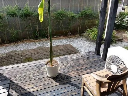5LDK+S Property Miyazaki City Miyazaki Prefecture (5)