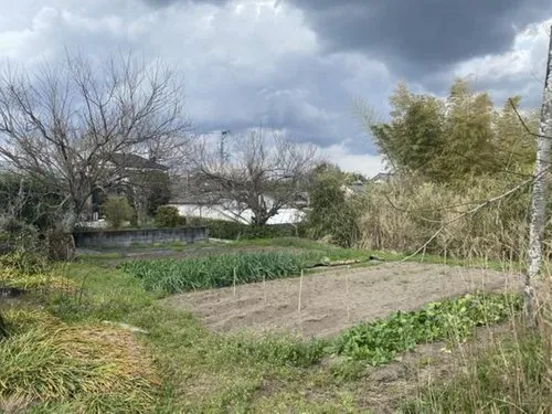Miyazaki Prefecture Miyakonojo City 6DK Property (5)