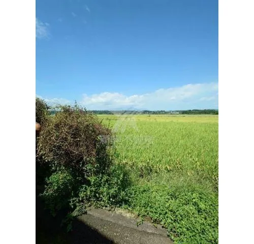7LDK Property Miyakonojo City Miyazaki Prefecture (6)