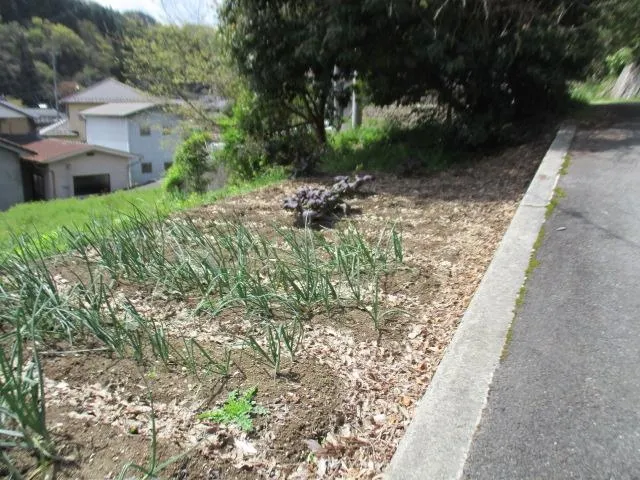 12DK Property Niimi City Okayama Prefecture (10)
