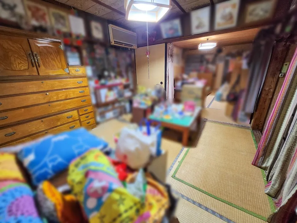 5K Property Makurazaki City Kagoshima Prefecture (11)