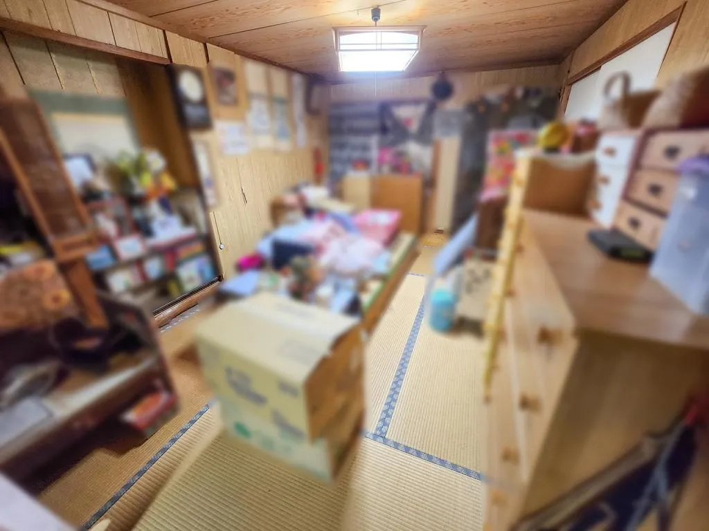 5K Property Makurazaki City Kagoshima Prefecture (12)