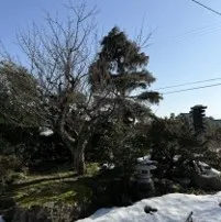 Detached House in Oyabe City, Toyama Prefecture (24)