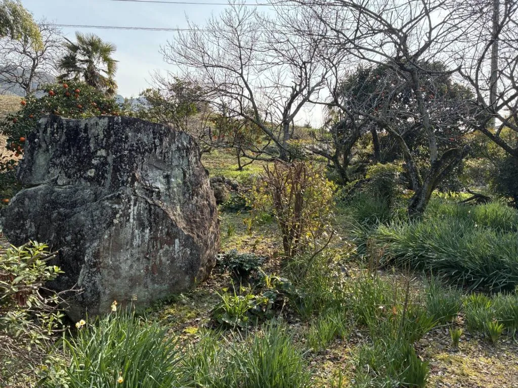 7DK Property Iyo City Ehime Prefecture (11)