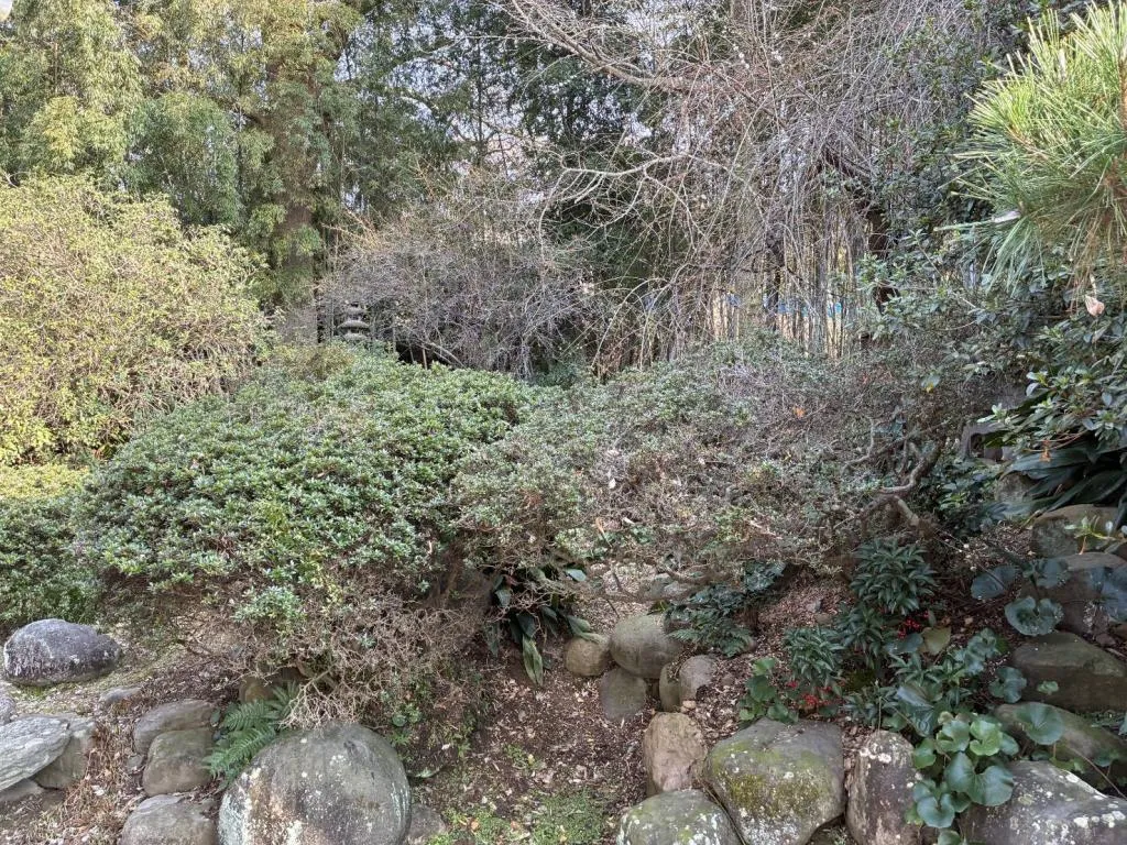 7DK Property Iyo City Ehime Prefecture (7)