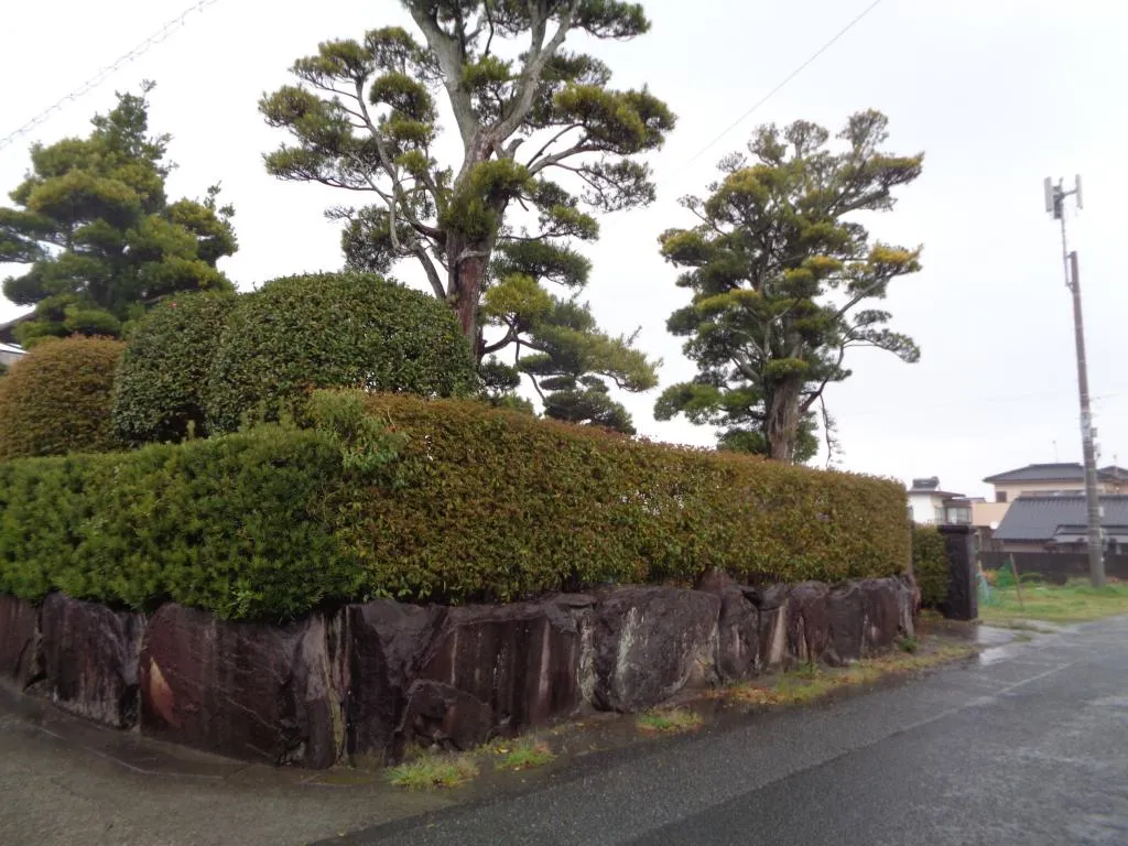 6DK Property Yatsushiro City Kumamoto Prefecture (7)