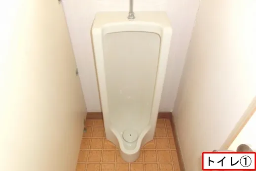7DK Property Nagaoka City, Niigata Prefecture (11)