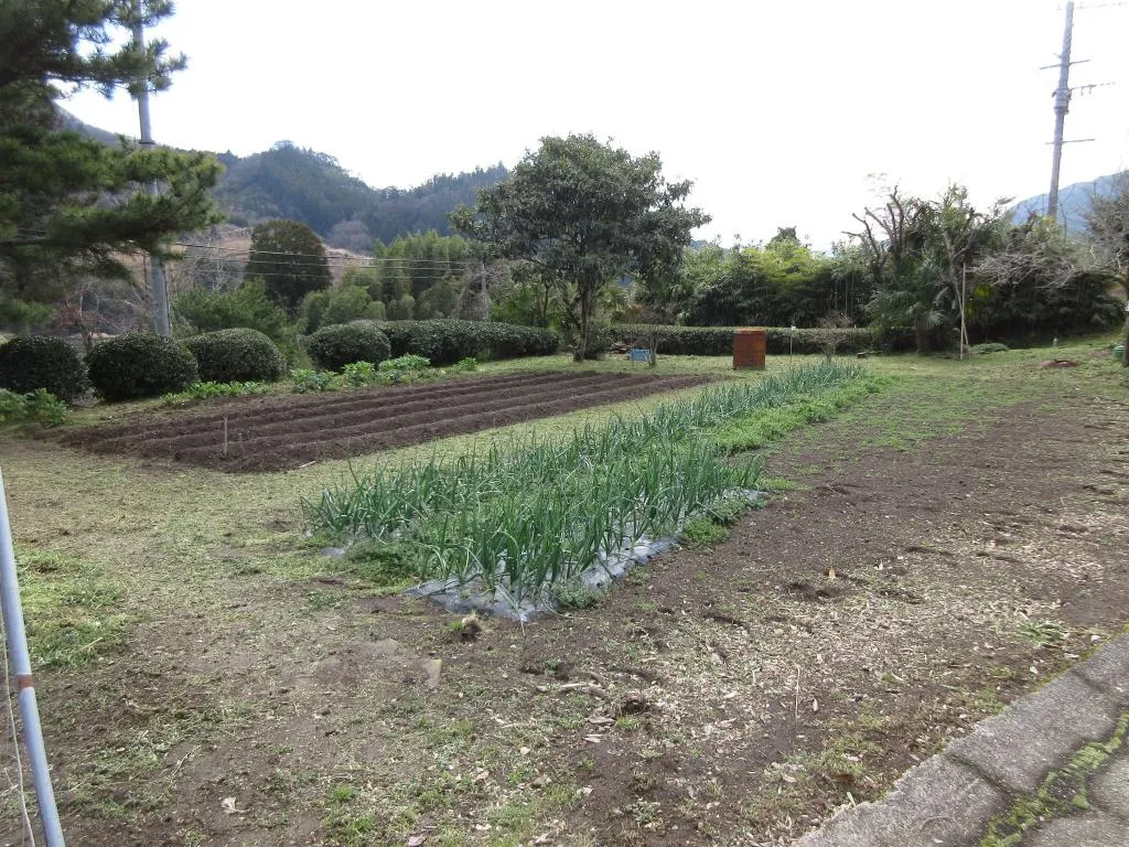 5DK Property Yufu City Oita Prefecture (17)