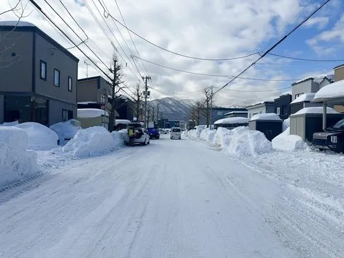 4LDK Property Sapporo City Hokkaido (3)