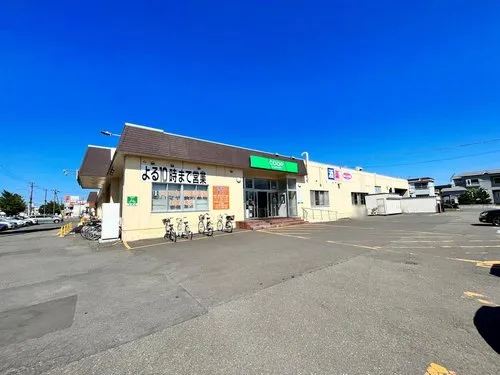 4LDK Property Sapporo City Hokkaido (24)