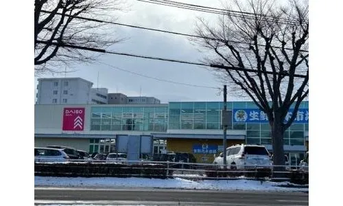 8LDK+S Property Hakodate City Hokkaido (20)