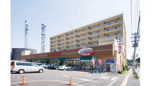 3DK Property Morioka City Iwate Prefecture (18)