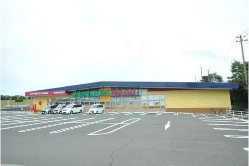 5LDK Property Sendai City Miyagi Prefecture (15)