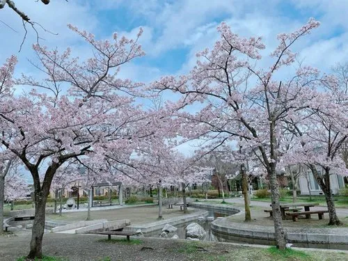 4LDK Property Tomiya City Miyagi Prefecture (13)