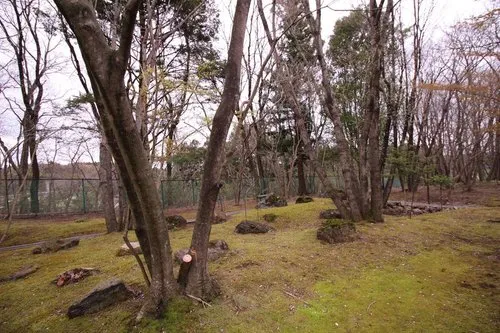 4LDK Property Nasu Town Tochigi (9)