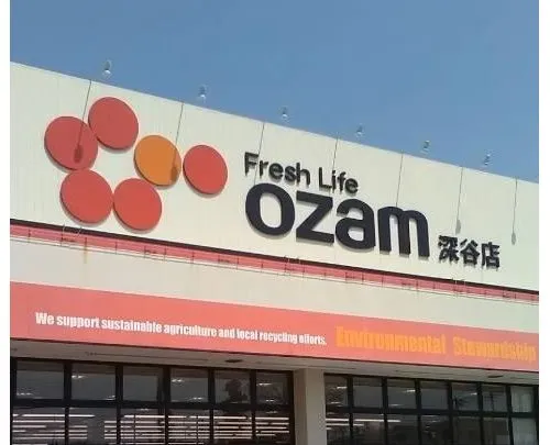 6LDK+S Property Fukaya City Saitama Prefecture (17)