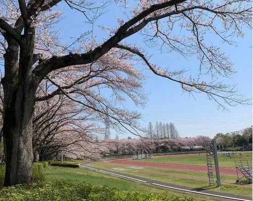 4LDK Property Akiruno City Tokyo Prefecture (18)