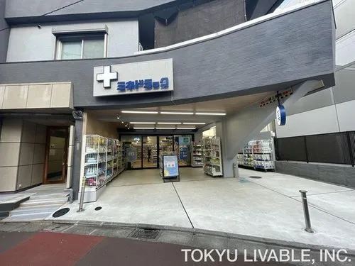 Tokyo Setagaya-ku 1LDK+S Property (6)