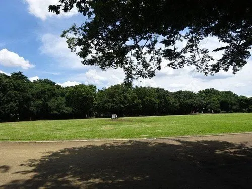 6LDK Property Mitaka City Tokyo (6)