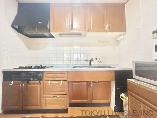 Kanagawa Prefecture Kawasaki City 4LDK Property (8)