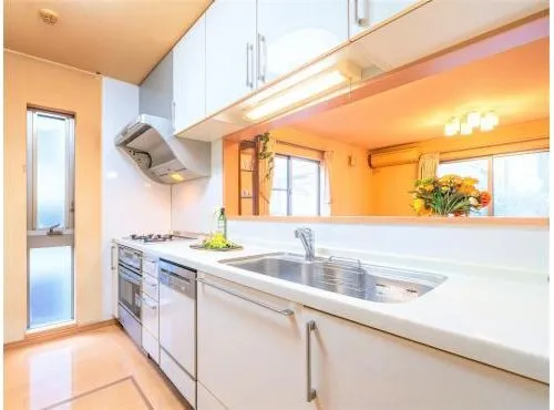 4LDK Kawasaki City Kanagawa Prefecture Property (12)