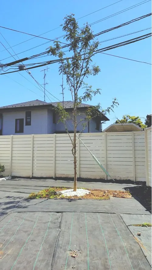 4LDK Property Aoba-ku, Yokohama City, Kanagawa Prefecture (2)
