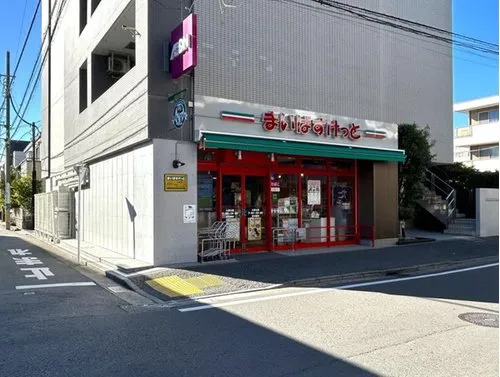 5LDK+S Yokohama City Kanagawa Prefecture (20)