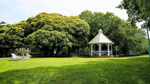 4DK Yokohama City Kanagawa Prefecture Property (3)