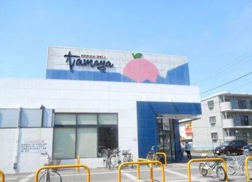 3LDK+S Property Chigasaki City Kanagawa Prefecture (15)