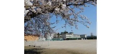 3LDK+S Property Niigata City Niigata Prefecture (17)