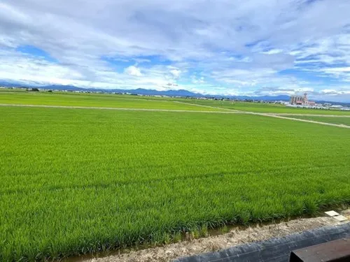 8DK Property Tsubame City Niigata Prefecture (16)