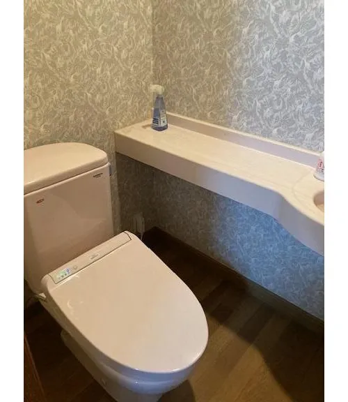 6LLDDKK+S Property Niigata City Niigata Prefecture (15)