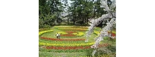 [3LDK Property] Niigata City Nishi Ward Niigata Prefecture (13)
