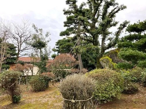 9DK Property Toyama City Toyama Prefecture (18)